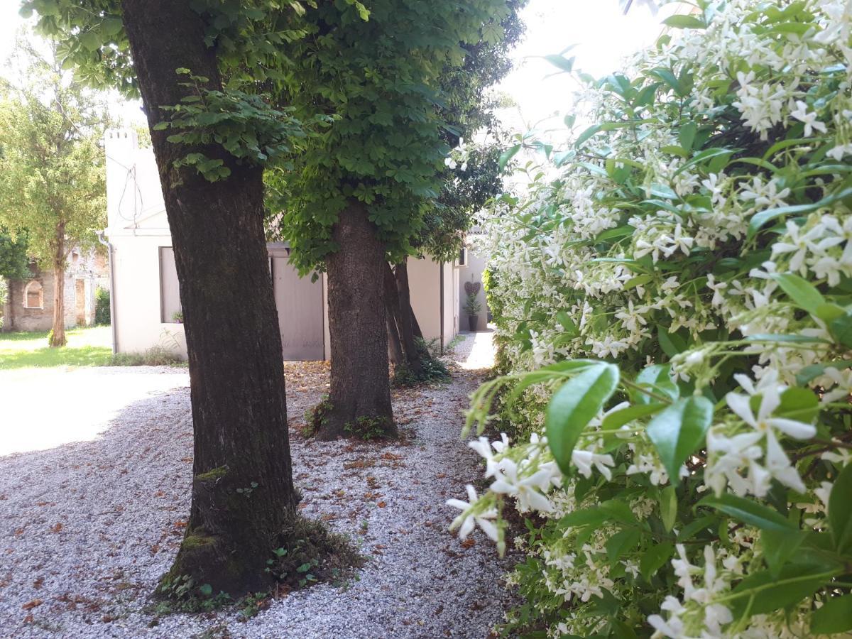 Villa Fiorentino Padova Kültér fotó